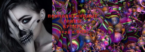 прущая мука Ельня