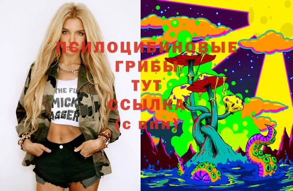 прущая мука Ельня